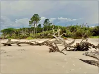 佐治亞州溫馨之家黃金羣島.現代內飾寵物友好度假屋 - 3星級