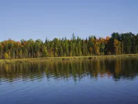 Lakefront Large Lodge in quiet bay~ Pontoon Rental Available - Wifi