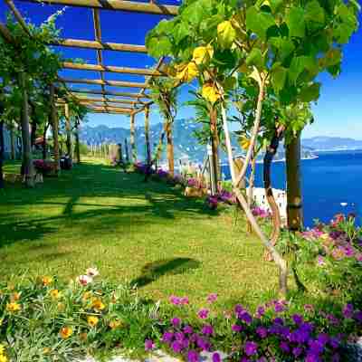 B&B Il Pavone Hotel Exterior
