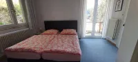 Familienapartments Wildemann - Wifi