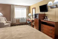 Quality Inn Paradise Creek - Pet friendly