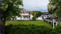 Maple Leaf Inn & Suites