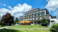 Parkhotel Olsberg Hôtels à proximité de : Bruchhauser Steine
