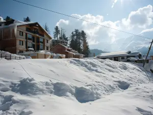 The Vintage Gulmarg