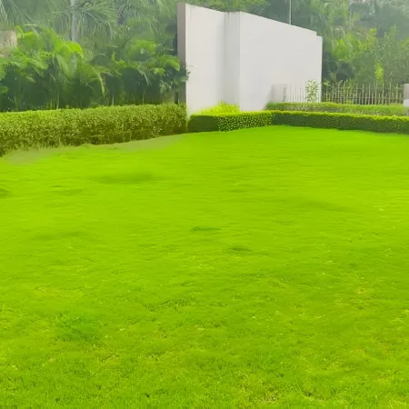 The Tiger Villa Ranthambore Atd India Group Отели в г. Савай-Мадхопур
