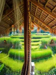 Pu Luong Jungle Lodge Hotels in Bá Thước District