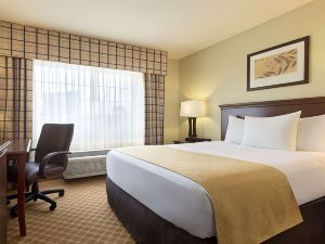 Country Inn & Suites by Radisson - Rochester