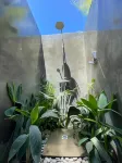Wild Monkeys Hostel - Hostels