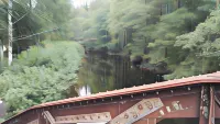 Lin's B&B