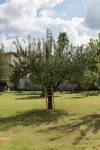 La Chiusa Delle Monache Hotels in Province of Lucca