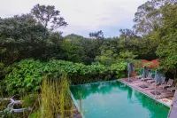Winíka Alterra - Pools
