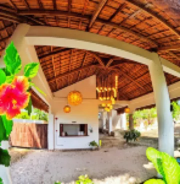 Divers Lodge Plumeria