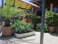 Albergo Primavera Hotels in Senigallia