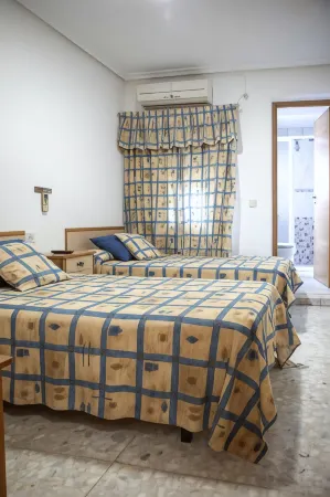 Pensión Hostal Dos Hermanas Отели в г. Боланьос-де-Калатрава