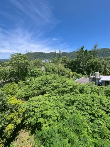 รูปภาพของบีชเฮ้าส์ 24 เกาะลันตา