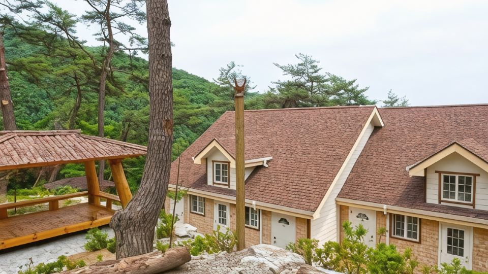 Wonju Sarichi Land in Forest Pension