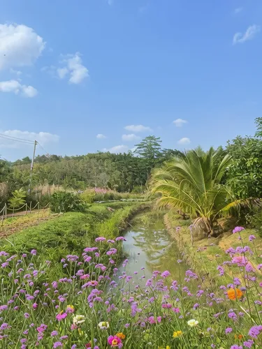 รูปภาพของ3 ห้องนอน 2 ห้องน้ำส่วนตัว ขนาด  ตร.ม. – อุทยานแห่งชาติเขาใหญ่