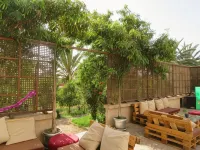 Ibis Tlemcen Hotels in 