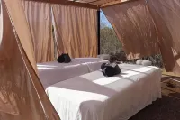 Experience Hotels in El Pescadero