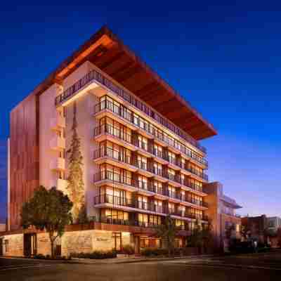 ノブ ホテル パロ アルト Hotel Exterior