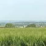 블런츠 코트 팜