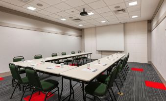 Ibis Sao Carlos