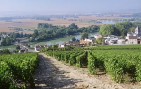 Le Clos Corbier - Champagne Collard-Milesi