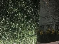 巴黎蒙馬特高地假日酒店 鄰近蒙馬特高地的酒店