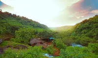 Blue Green Exotica Resort - 애견동반