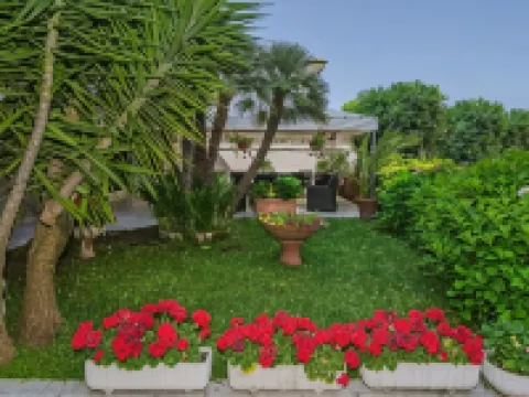 Hotel Scandinavia Hoteles en Massa