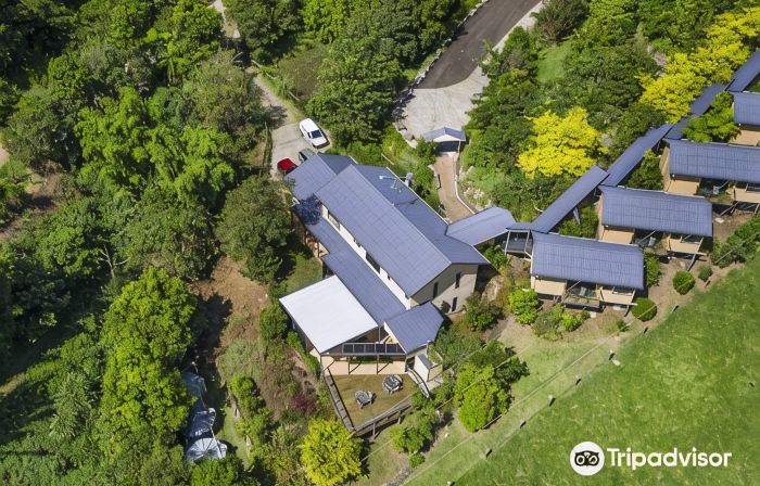 Top of the Hill