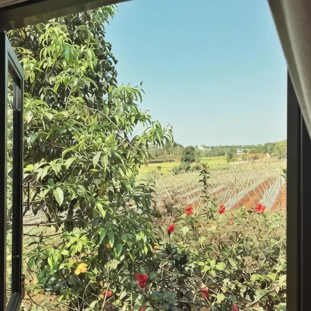 An Nhiên Farmstay & Resort