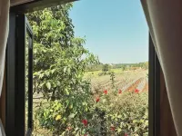 An Nhiên Farmstay & Resort - Mountain view