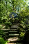 The Great Roots Forestry Spa Resort