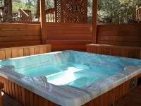 Secluded on 9 acres Beautiful 6,000+ Sq. Ft. Cabin, 6 Bd 4.25 Bath - شاليه