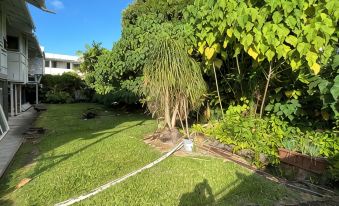 Charming 3-bedroom home in Hilo town
