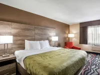 Quality Inn Cedar Rapids South Hotels in Cedar Rapids