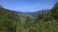 Beautiful views of the green nature from the inside Asturiana