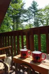 Adirondack Cabin Near Lake Placid & High Peaks: 7 Person Hot Tub and Skiing - Butik