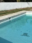 Lovely beach home with amazing grounds and private swimming pool - Pool