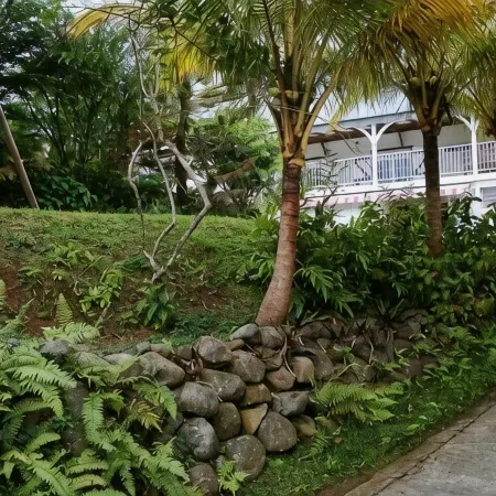 Quiet cottage in beautiful location on the edge of rainforest,