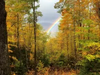 Mountain Cabin with long range views, privacy, and more. Hotels in Campton
