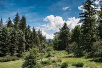 Skyline cottage, private hot tub, wifi sleeps 4!