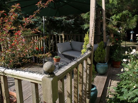 Pond View Cottage with Beautiful Views - Dog Friendly (Cosy and Tranquil)