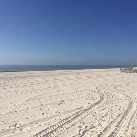 *Quite & Cozy Romantic Beach Gateway for 2. Walk to the Beach, 4 mins to D-Town*