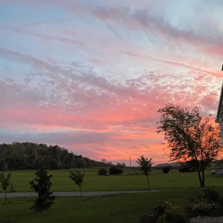 Mountain view, beautiful and serene! On more than 20 Acres!