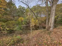 One on the Creek