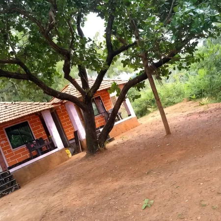 Parvati Gust House