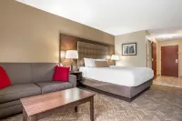 Best Western Gardendale Hotels in 