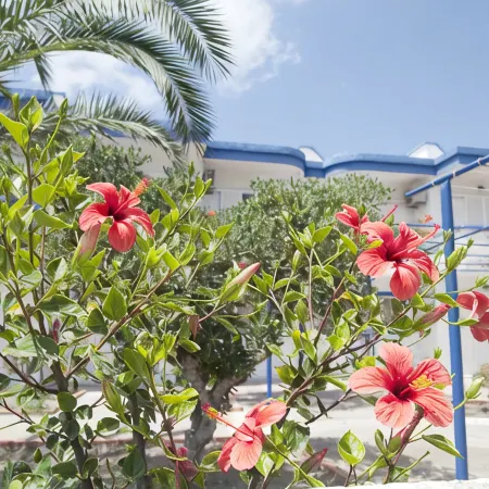 Maritsa Studios